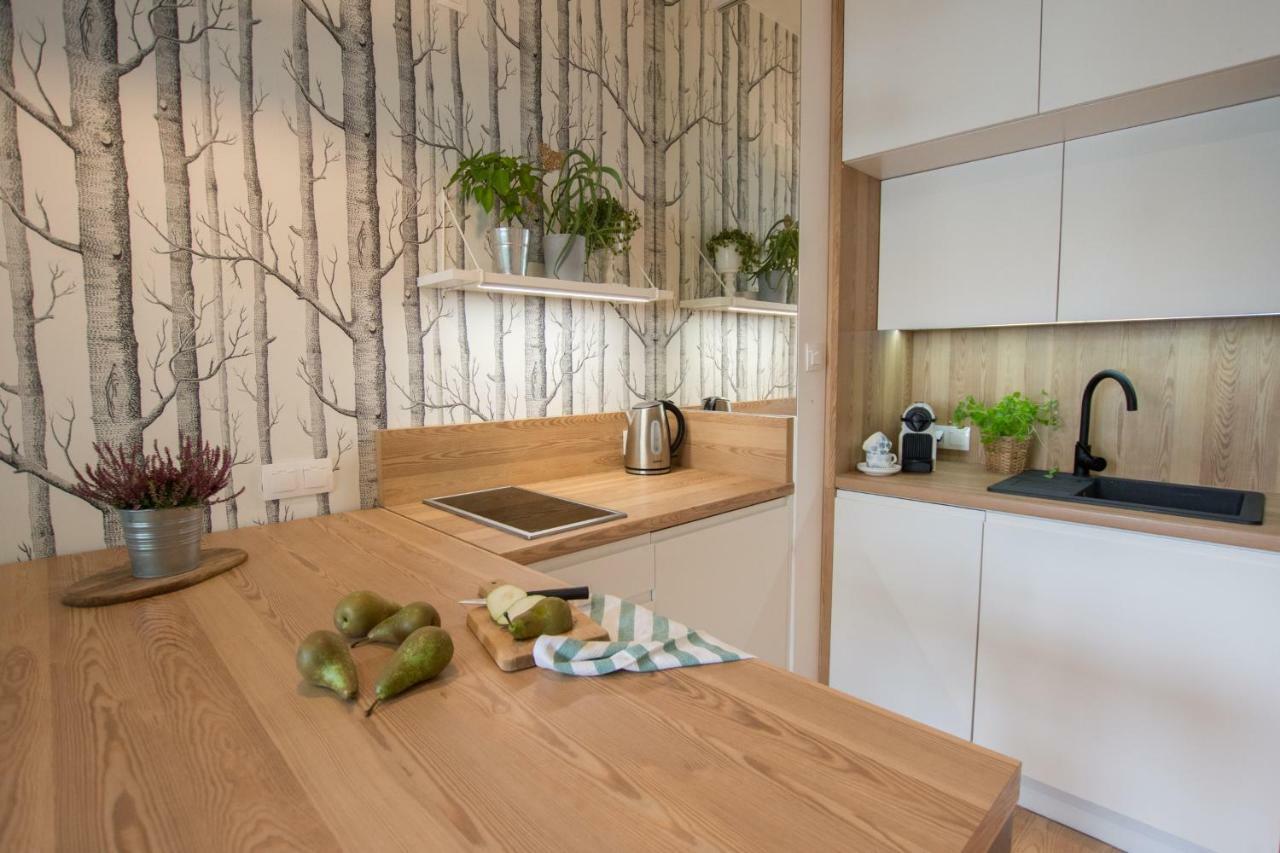 Rakowicka Apartment Kraków Zewnętrze zdjęcie